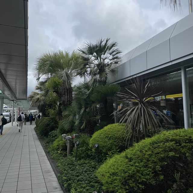 【鹿児島県】グルメも足湯も楽しめる鹿児島空港！