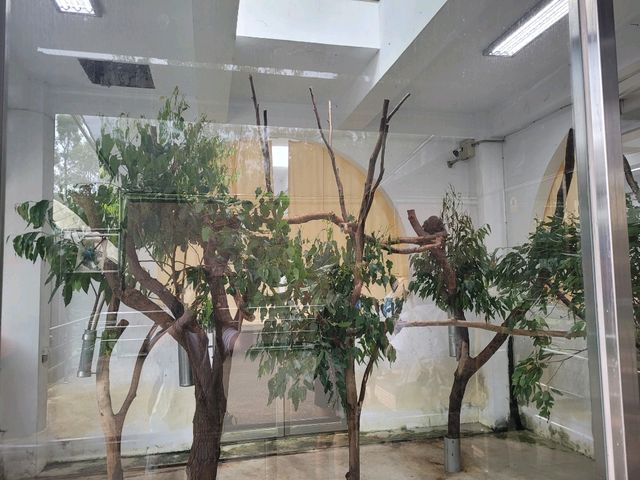 台灣必去的台北市立動物園