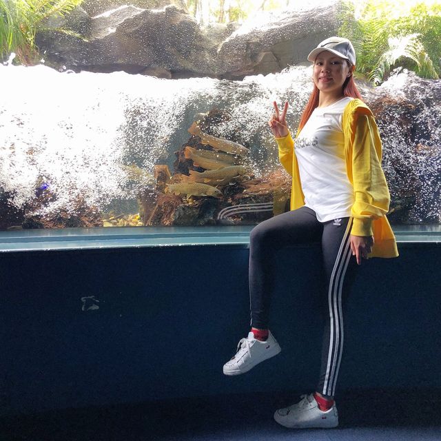 広島　マリホ水族館