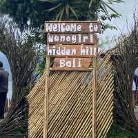 👙☀️Bali-充滿度假🏖️feel既不2️⃣之選