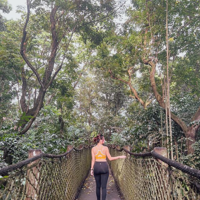 Exploring Sungei Buloh Wetland Reserve’s