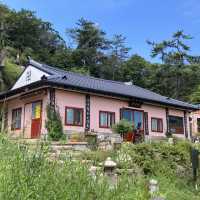 ［釜山］一小時來回快閃登山～金剛山纜車之旅