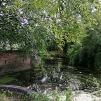 A Serene Getaway to Ely, UK: Exploring Nature's Charms Along the Riverside