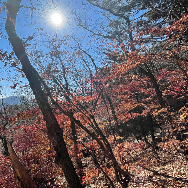 Hiking in Seoul during autumn 
