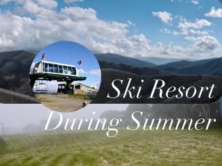 여름철 스키 리조트
