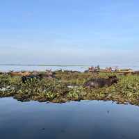 An eye-opening boat trip @ Thale Noi