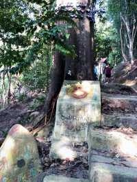 A healthy hiking trip in Penang