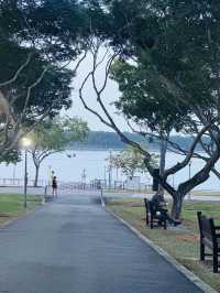 💫Bedok Reservoir💫neighbourhood leisure park