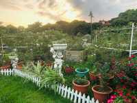 台北｜🌹💐 Taipei Rose Garden 臺北玫瑰園🪴🎋散步賞花花草草