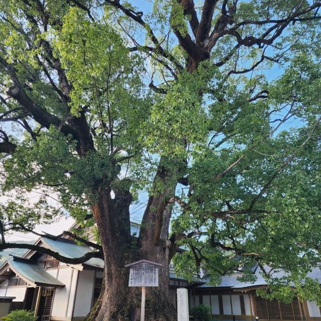 Autumn walk through Dazaifu