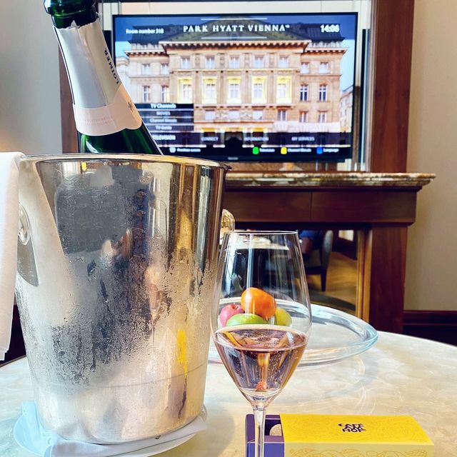 One of the most luxurious hotel in Vienna 