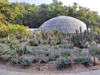 深圳仙湖植物園
