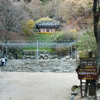 우리나라의 자랑스러운 세계문화유산 석굴암