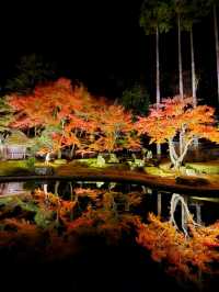 【ROKU京都】京都で最大の屋外温泉プール&紅葉が美しい日本庭園