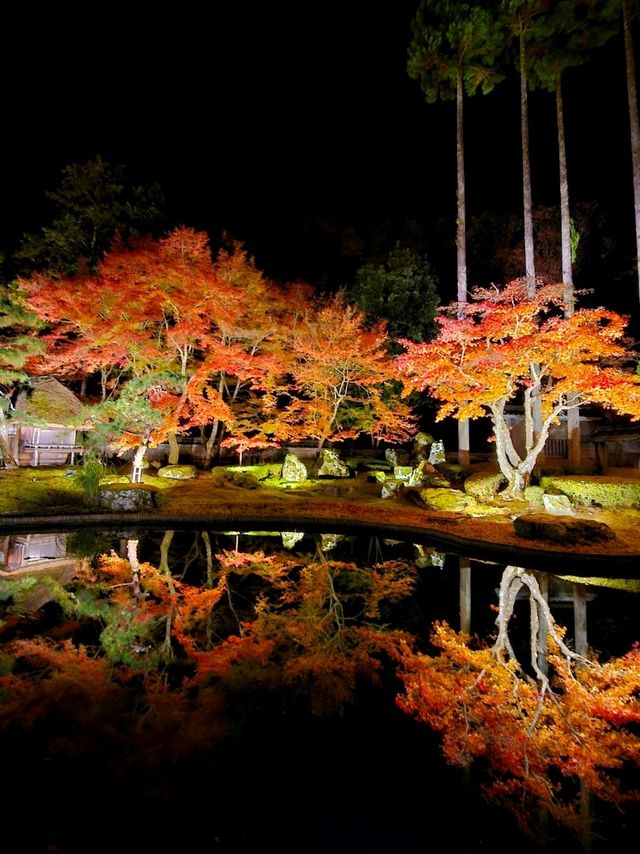【ROKU京都】京都で最大の屋外温泉プール&紅葉が美しい日本庭園