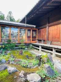 【山形県/荘内神社】2023年行ってよかった！山形の神社④