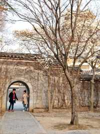 곧 목련이 피어날 경주 보문단지의 히든스팟📸
