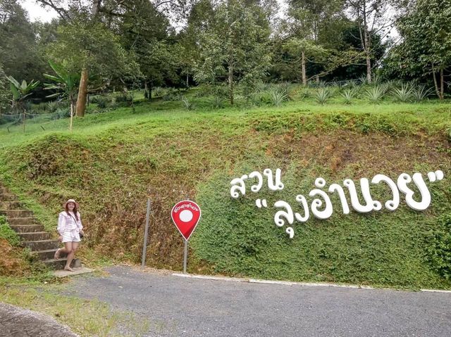 วันเดียว...เที่ยวพังงา