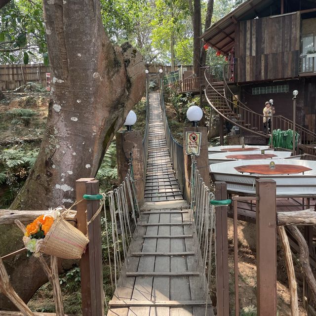 거대한 나무와 마운틴뷰를 즐길 수 있는 The giant chiang mai thailand cafe