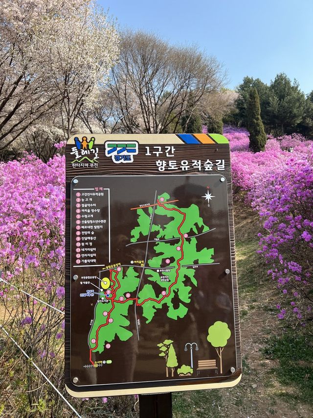말그대로 꽃동산 그 자체💕
