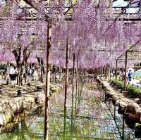 天王川公園