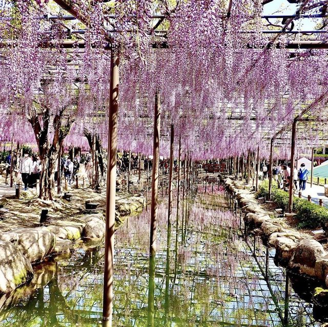 天王川公園