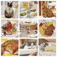 新開🎊超大😻貓cafe🐈