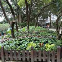 Luís de Camões Plant Nursery