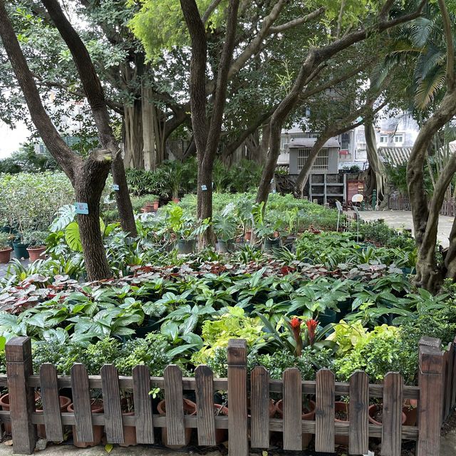 Luís de Camões Plant Nursery