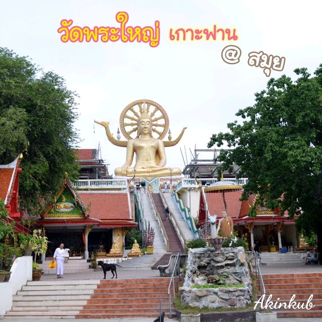 สักการะขอพรพระพุทธโคดม