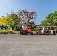 ที่พักน่ารักๆ ที่วังน้ำเขียว มีรถบ้านด้วย 🌳