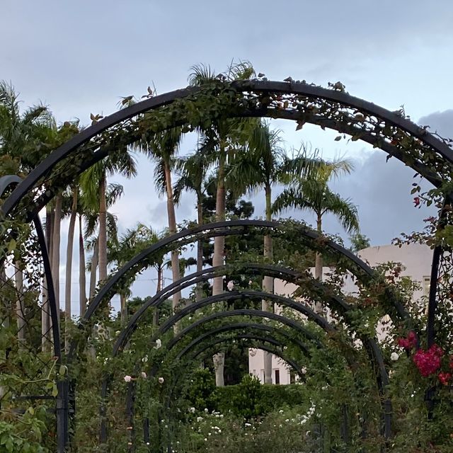 台北玫瑰園🌹