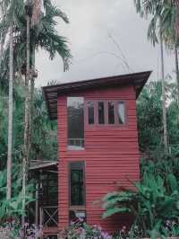 บ้านในหมง Treehouse 