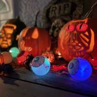 【巨大なカボチャ畑！】カナダでハロウィンを初体験！inリッチモンド