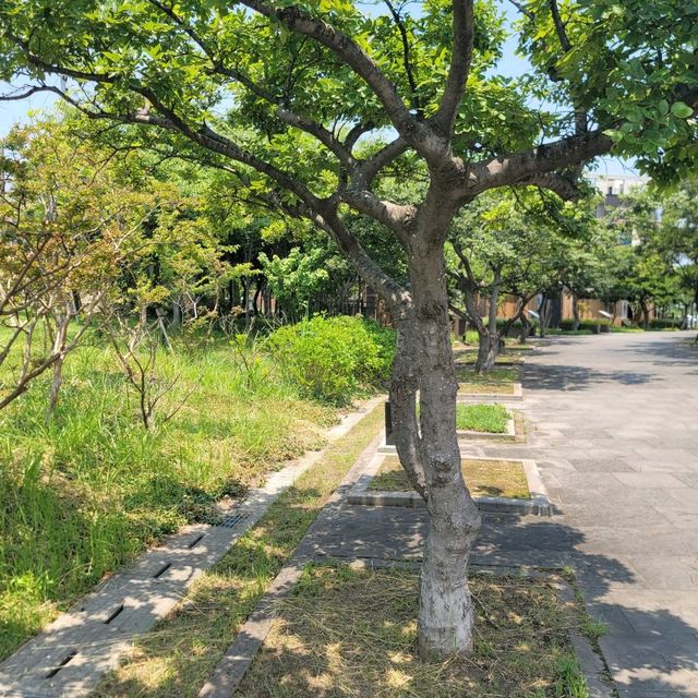 제주여행 하며 쉬어가기 좋은 산짓물공원