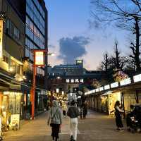  ♨️這個商店街太有和風感了吧！東京淺草傳法院通商店街帶你重返江戶時代⛩