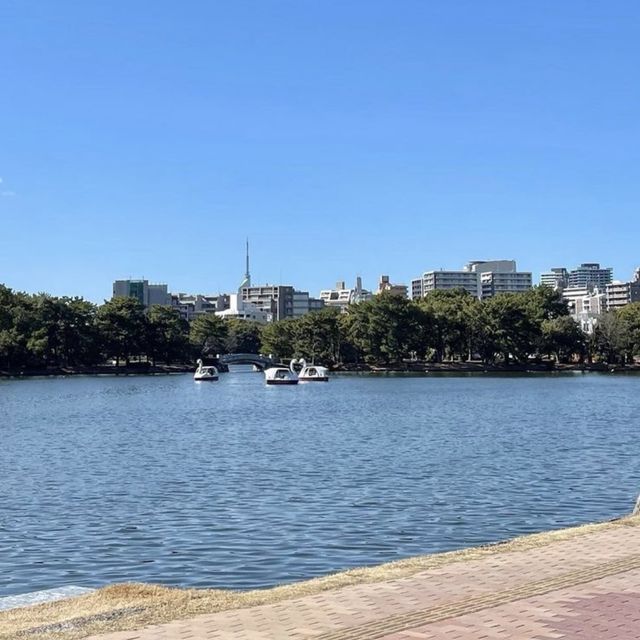 ❤️ 후쿠오카 추오구의 명물, 오호리 공원 ❤️