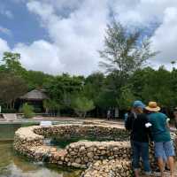 น้ำพุร้อนเค็มคลองท่อม