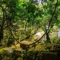 Bengoh Dam: Nature Oasis!