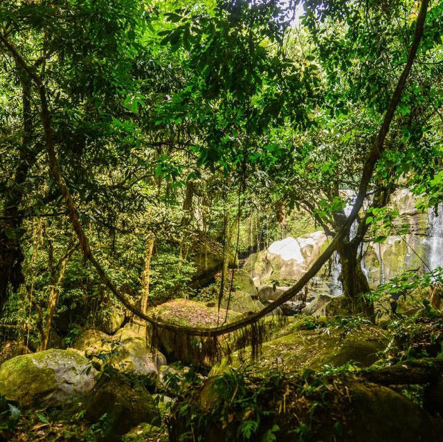 Bengoh Dam: Nature Oasis!