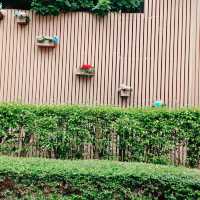 超棒！清水灣鄉村俱樂部 oasis 西餐廳 ！
