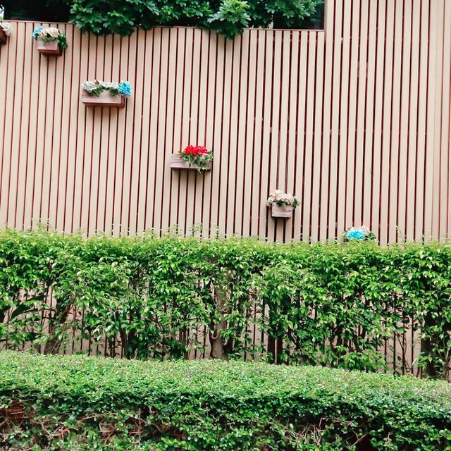 超棒！清水灣鄉村俱樂部 oasis 西餐廳 ！