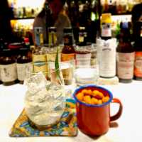 Not-So-Hidden Hidden Bar: Backdoor Bodega