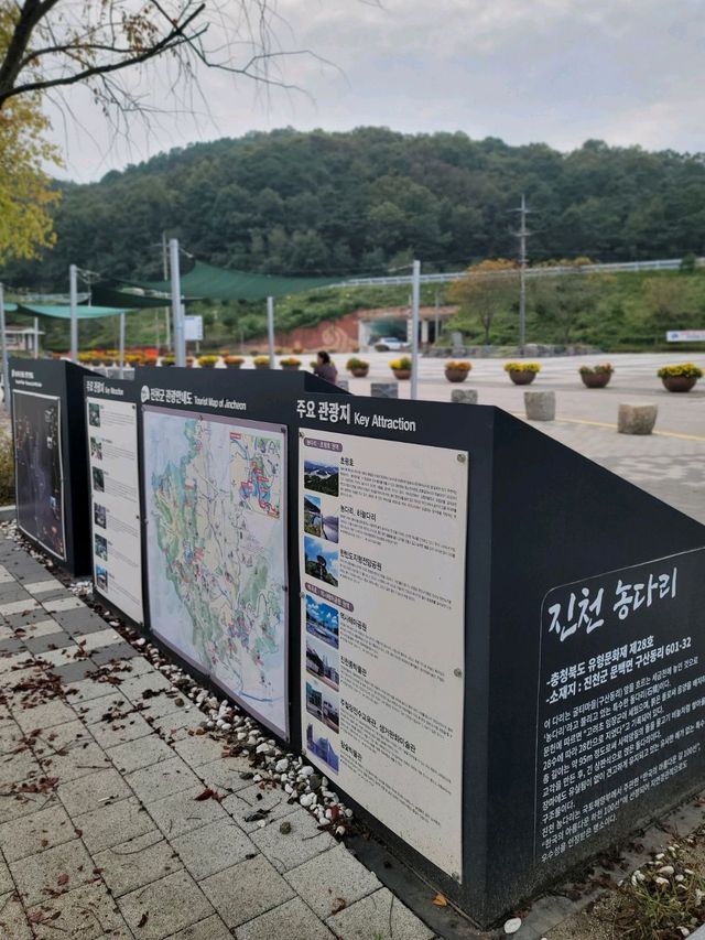 가을산책하기 좋은 진천여행지 추천🍂
