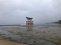 日本宮島｜必到打卡位海上大鳥居