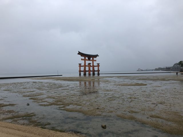 日本宮島｜必到打卡位海上大鳥居