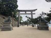 日本宮島｜必到打卡位海上大鳥居