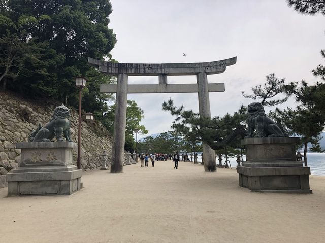 日本宮島｜必到打卡位海上大鳥居