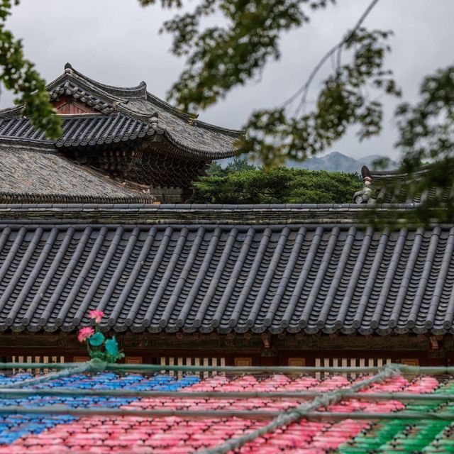 Beautiful Bulguksa Temple is Gyeongju