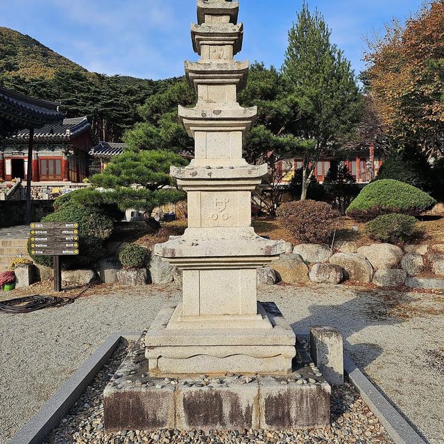 The Beauty Of Bogyeongsa Temple 